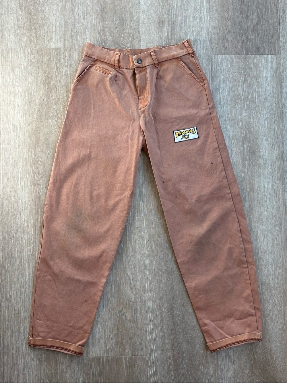 Fresh Dinosaurs Kids Rust-Colored Pants - Size 10